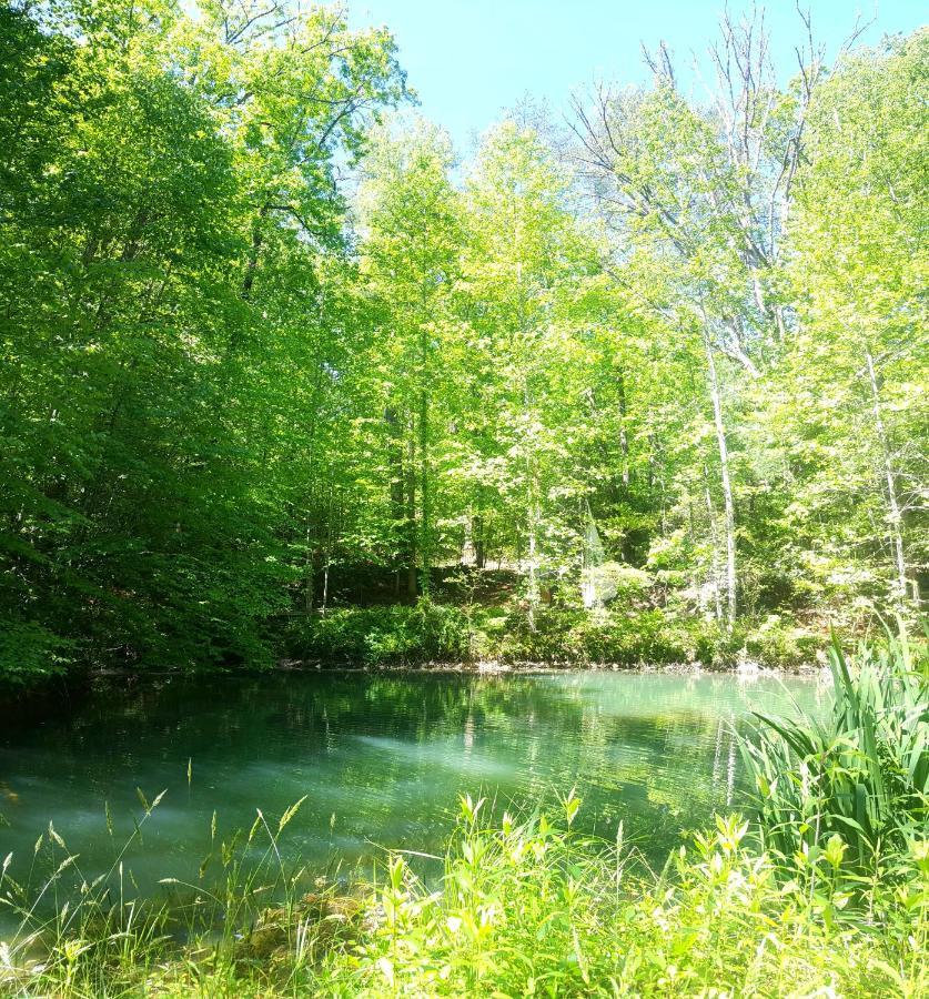 Lil' Log At Hearthstone Cabins And Camping - Pet Friendly هيلين المظهر الخارجي الصورة